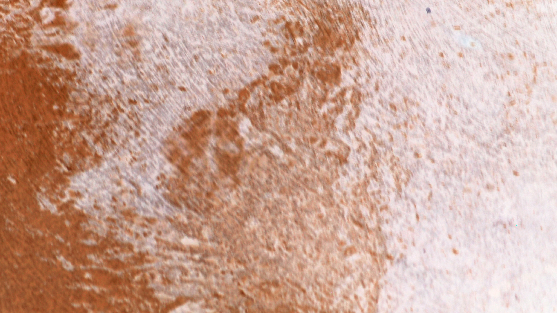 2021-08-29 Das Kleine Regen Rhythmus Orchester spielt 'autonome Beats' (Spiegel)